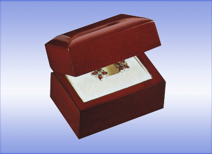 �ͺţ�M210