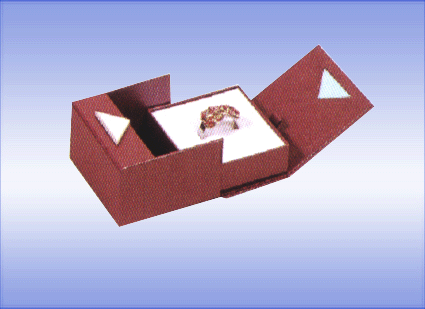 ͺţP401